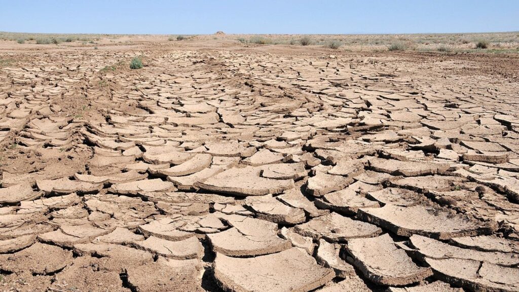 Extremely dry soil showing cracks, almost no vegetation.